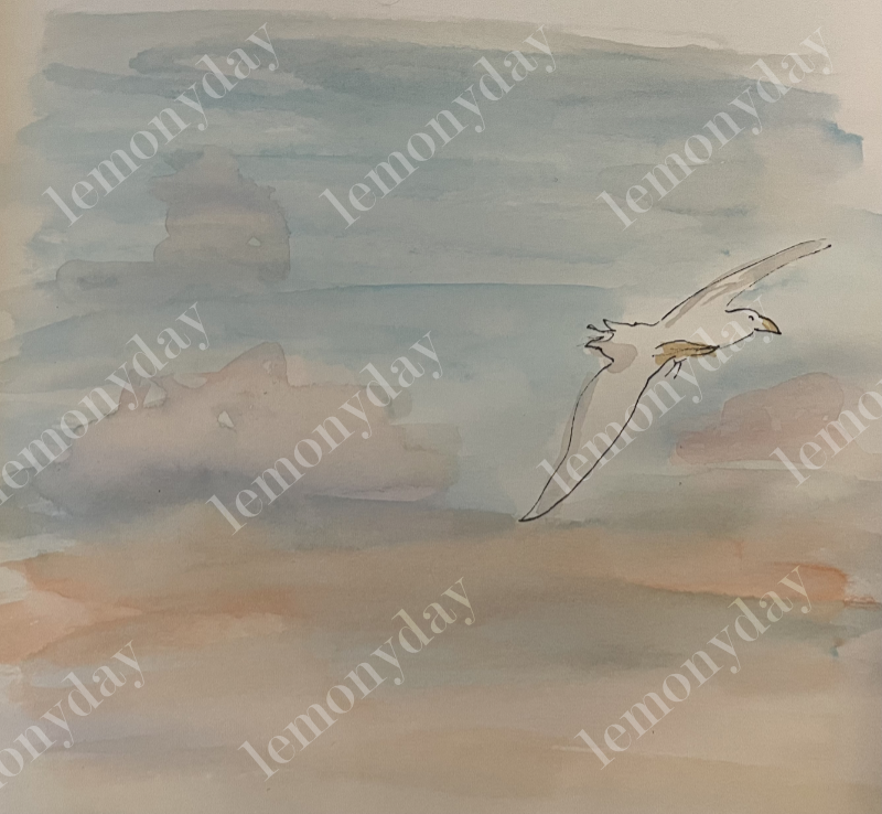 Gull